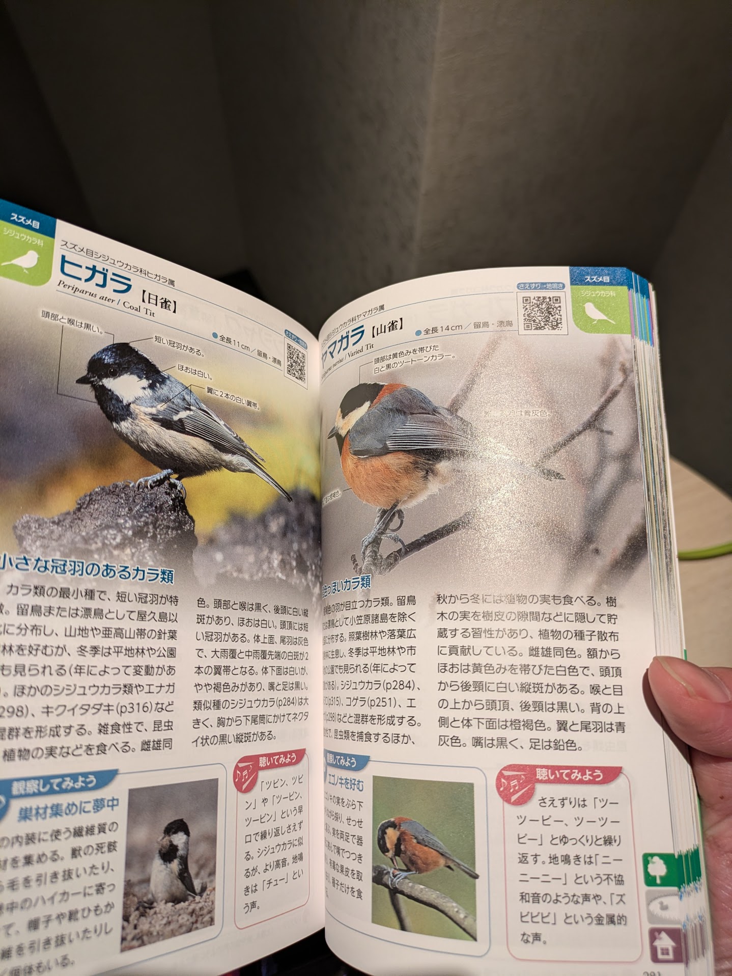 Figure 54: 虽然咱不懂日语，但咱能看图啊