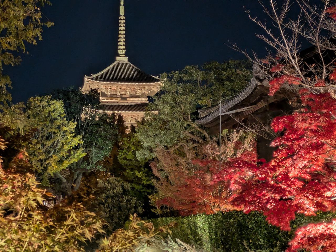 Figure 23: 红叶掩映的五重塔