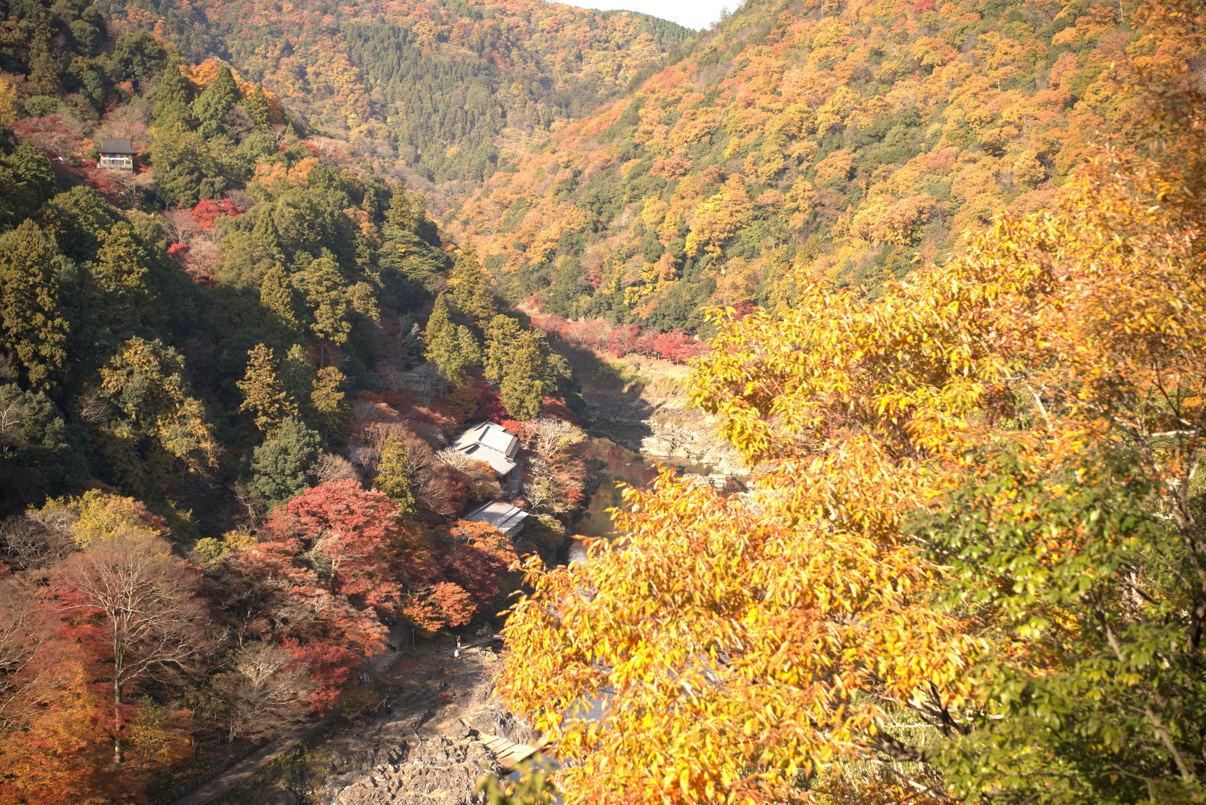 Figure 7: 继续岚峡，一张手机一张相机